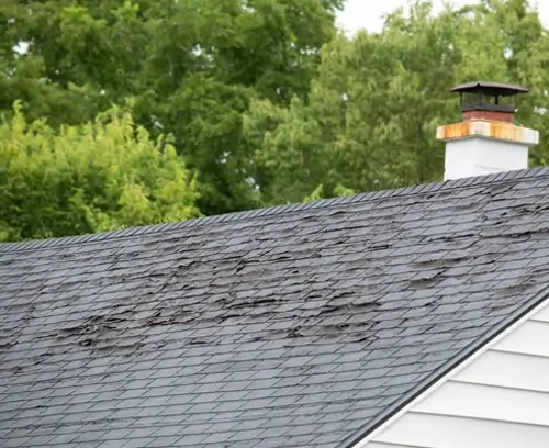 De-mossing benefits image